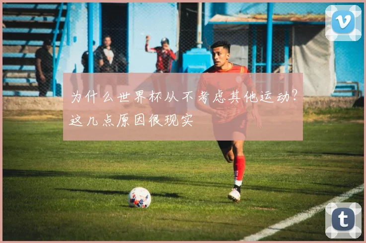 为什么世界杯从不考虑其他运动？这几点原因很现实