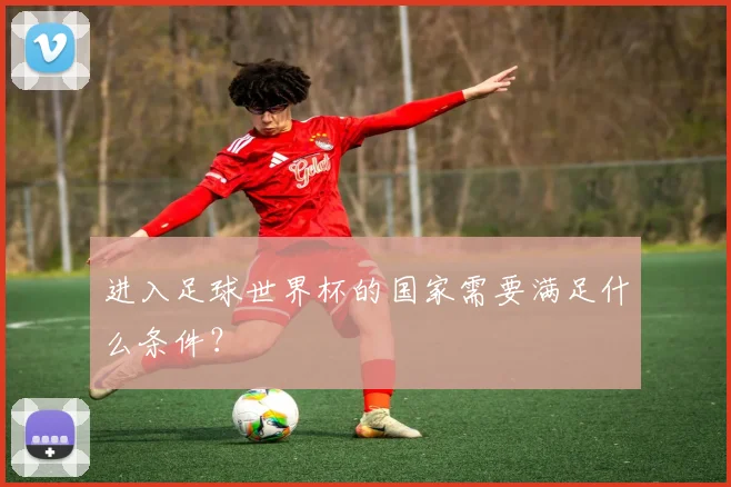 进入足球世界杯的国家需要满足什么条件？